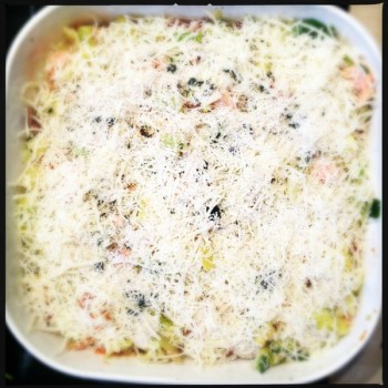 Lasagne saumon poireaux_sans lactose_aunomi_7