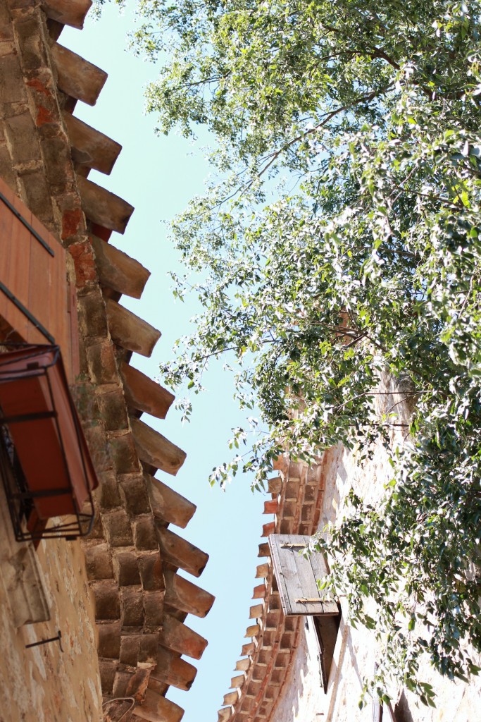aunomi_ete_2015_St Guilhem_2