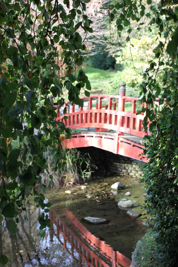 Jardin Albert Kahn_aunomi_10