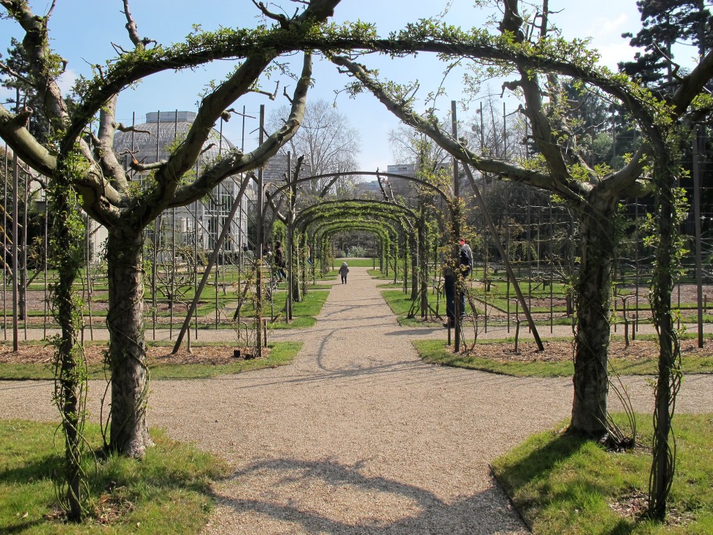 Jardin Albert Kahn_aunomi_17