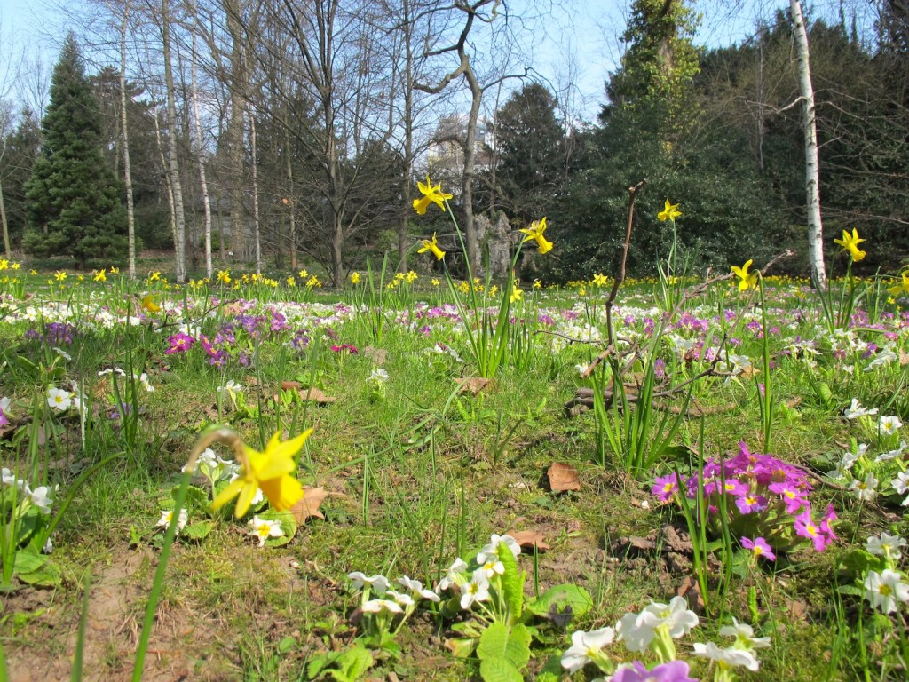 Jardin Albert Kahn_aunomi_21