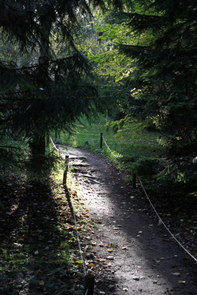 Jardin Albert Kahn_aunomi_3