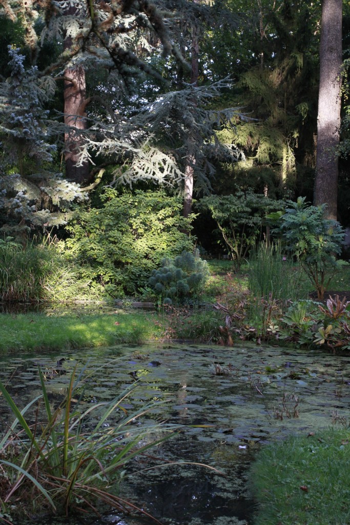 Jardin Albert Kahn_aunomi_5
