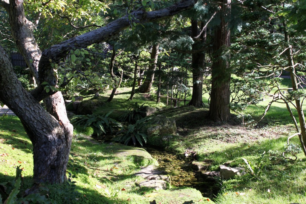 Jardin_Albert_Kahn_aunomi_33